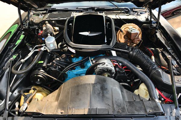 1977 Pontiac Firebird Trans Am Y82